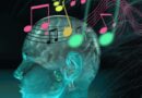 Los poderosos efectos de la musica en los humanos